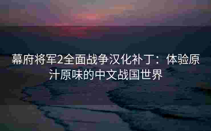 幕府将军2全面战争汉化补丁：体验原汁原味的中文战国世界