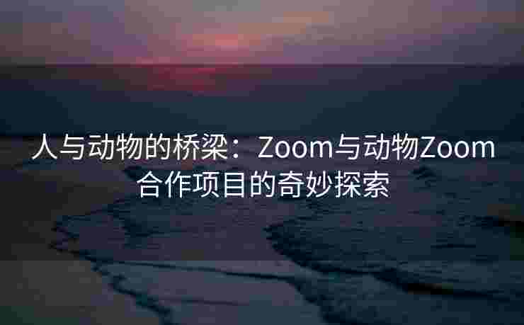 人与动物的桥梁：Zoom与动物Zoom合作项目的奇妙探索